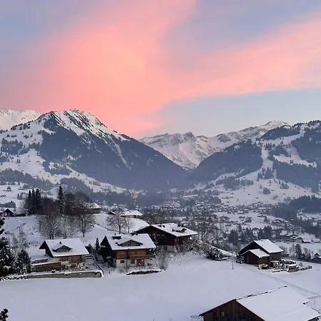 Charming Flat In The Heart Of Saanen *