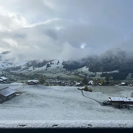 Charming Flat In The Heart Of Saanen Schönried